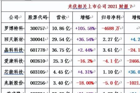 最大光伏上市公司