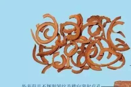 肉桂有没有别的叫法