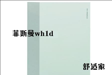 菲斯曼壁挂炉200系列调试说明