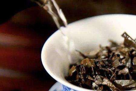 青段泡白茶好吗