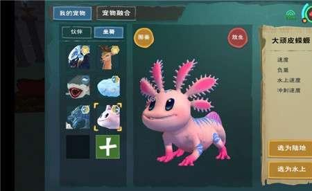 创造与魔法顽皮蝾螈刷新时间
