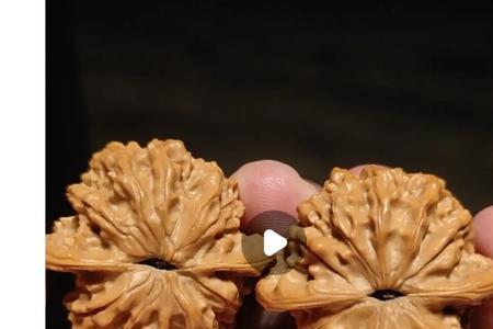 威狮和玲珑哪个好