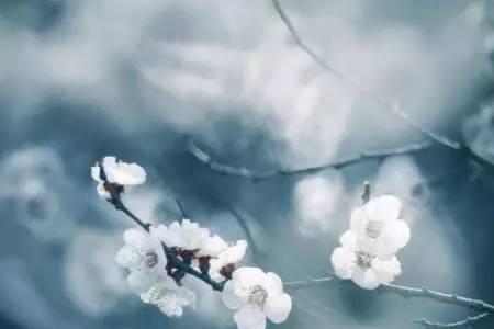 推窗思旧梦闭目念故人的意思