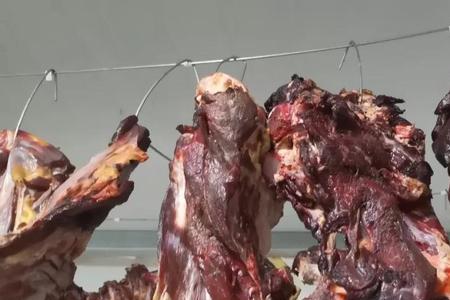 腌制马肉的方法和腌制配料