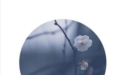 墨染是什么意思