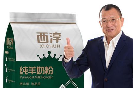 西淳羊奶粉是几线品牌