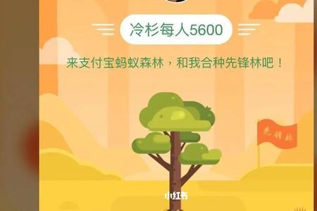 支付宝的合种树怎么长不大