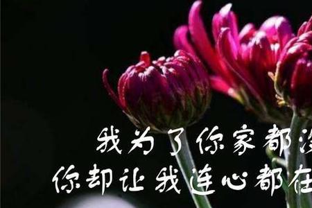 不是没有家原唱完整版