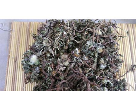 烀干婆婆丁咸菜的做法