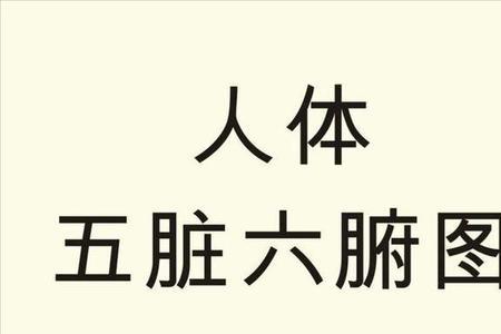腹和腑的区别