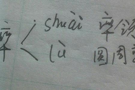 率队是词语吗