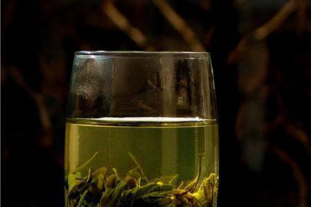 茶水可以放多久