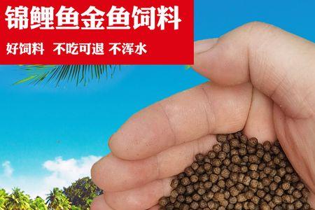 锦鲤不吃上浮饲料什么原因