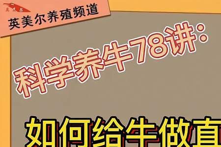 牛直肠的做法