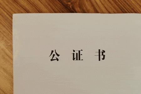 公证处可以查询它人档案吗
