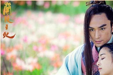 兰陵王妃是指兰陵地方的王妃吗