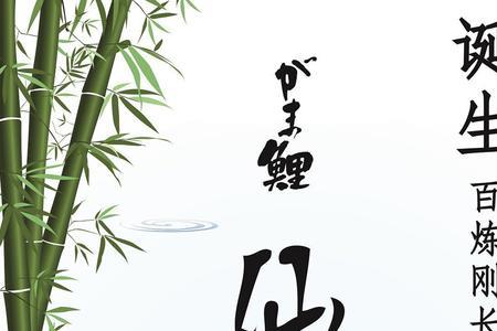 伽玛鲤仙尺使用感受