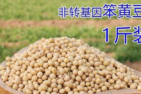 买黄豆贵还是买豆腐贵
