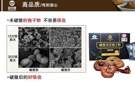 张恒春的灵芝孢子粉怎么样