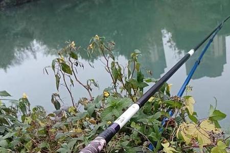 开沃探路8h鱼竿适合前期抢鱼吗