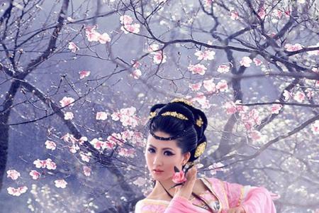 梅花三弄的同义词