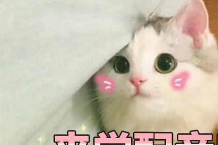 配音好学吗