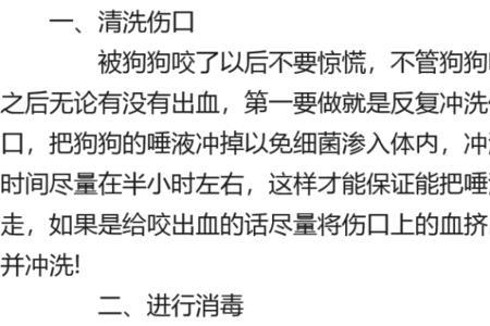 东德犬见陌生人不咬怎么办