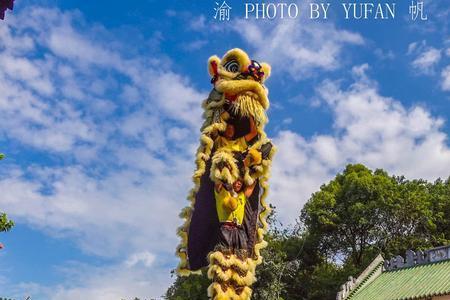 黄飞鸿世界狮王是谁