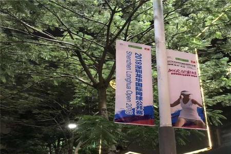 道旗灯是什么
