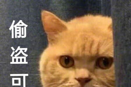 偷还可以变成什么字