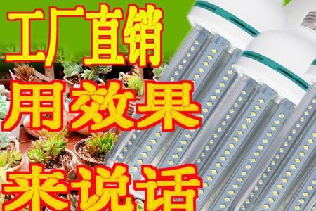 多肉补光灯便宜和贵的区别