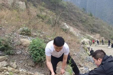 巫溪县下堡镇有五步蛇吗