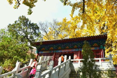 泰山玉泉寺海拔