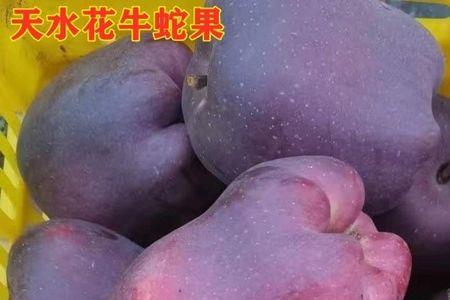 苹果前身叫频果吗