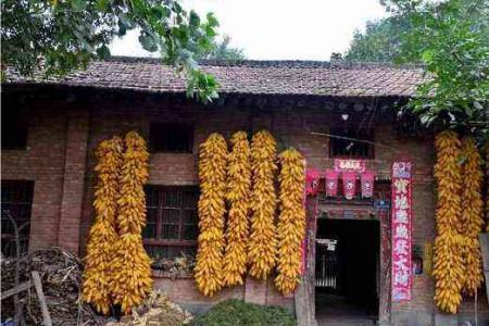 九不出门十不归
