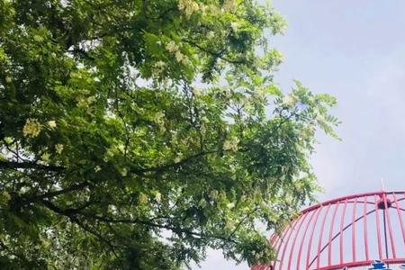 顺义儿童游乐场所大全