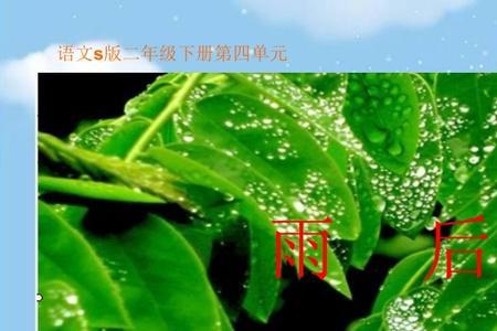冰心写的雨后妹妹的希望是什么
