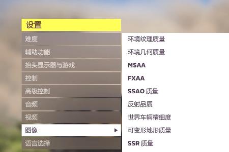 地平线5msaa和fxaa开哪个