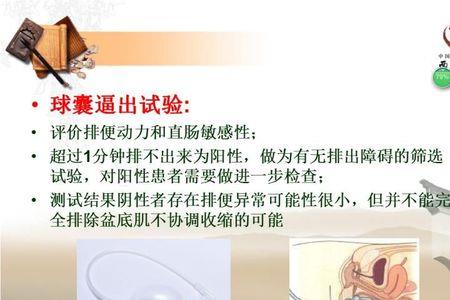 直肠子是什么意思