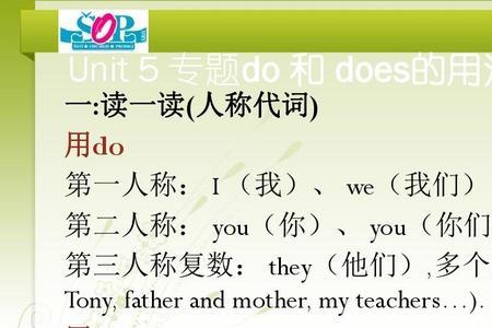 do复数形式什么意思