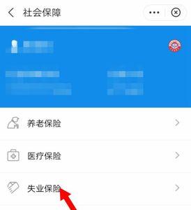 失业险怎么查询通过没