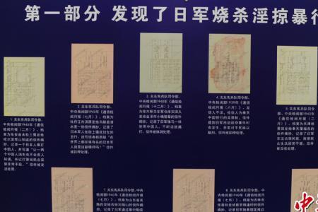 烧杀淫掠什么意思