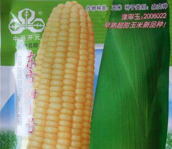 天玉1号玉米种是什么地方产的