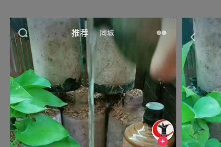 抖音真酒网卖的酒哪家好