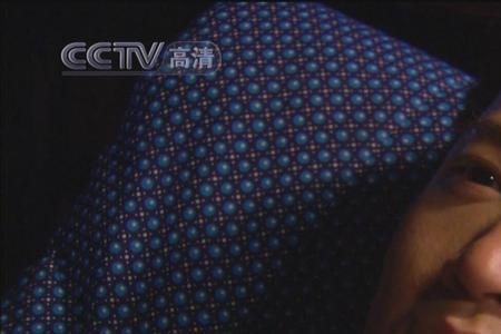 梅花档案三姐妹身世