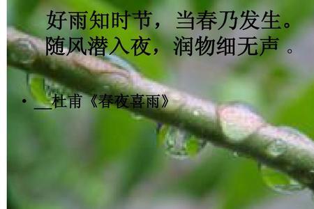 好雨指的是什么雨
