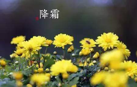 霜降的降能组什么词