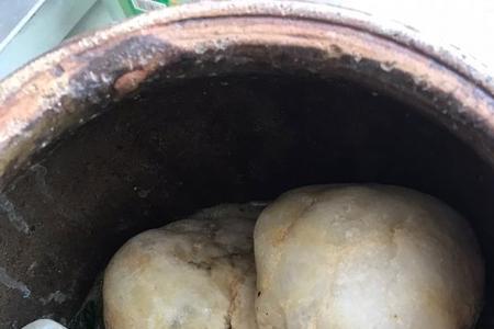 广州腌咸菜的做法大全