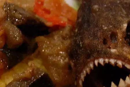 食人鱼能灭绝吗