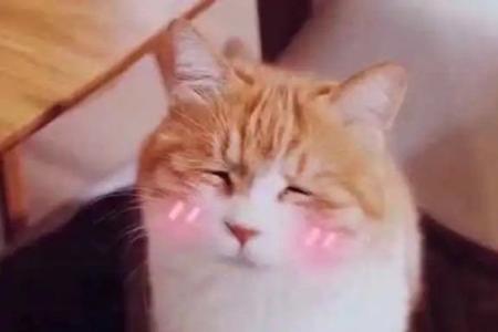 男朋友说反正都过去式怎么回